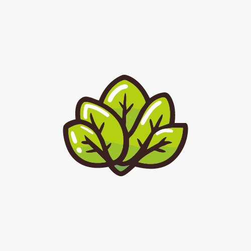 Lettuce icon